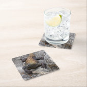 Komodo Dragon Stone Perch Kartonnen Onderzetters (Insitu)