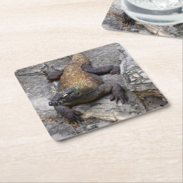 Komodo Dragon Stone Perch Kartonnen Onderzetters