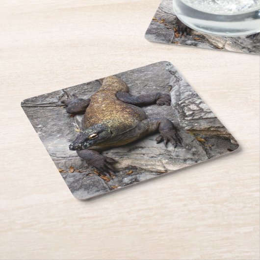 Komodo Dragon Stone Perch Kartonnen Onderzetters (Schuin)