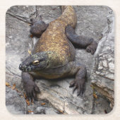 Komodo Dragon Stone Perch Kartonnen Onderzetters (Voorkant)