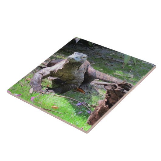 Komodo Dragon Tile Tegeltje (Zijkant)