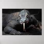 komodo dragon tong uit de steek poster (Voorkant)