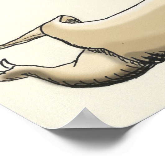 komodo dragon trivia poster (Hoek)