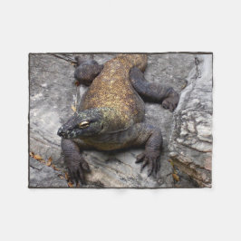 Komodo Dragon Warm Rock Scene Fleece Deken