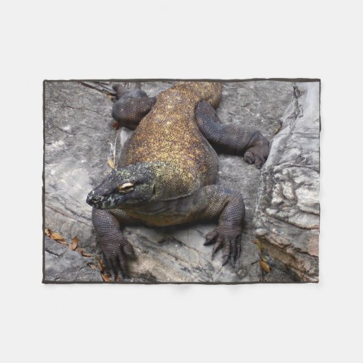 Komodo Dragon Warm Rock Scene Fleece Deken (Voorkant (Horizontaal))