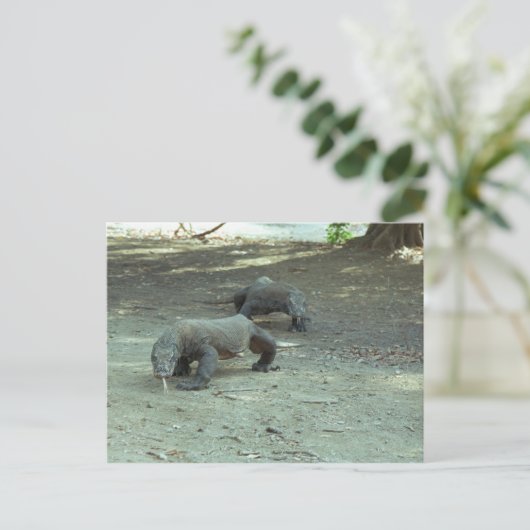 Komodo Dragons Briefkaart (Staand voorkant)