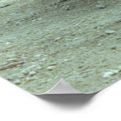 Komodo Dragons Poster (Hoek)