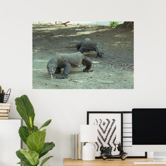 Komodo Dragons Poster (Thuiskantoor)