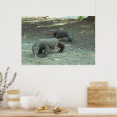 Komodo Dragons Poster (Keuken)