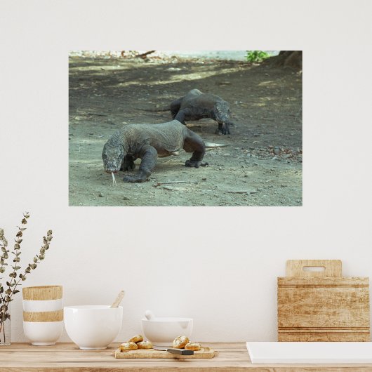Komodo Dragons Poster (Keuken)