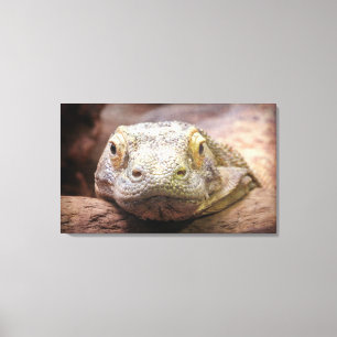 Komodo-drakenfoto met zand gezicht canvas afdruk