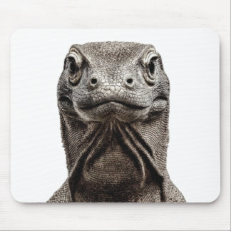 Komodo Kop Muismat
