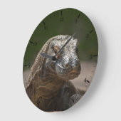 Komodo-monitordraak Grote Klok (Hoek)