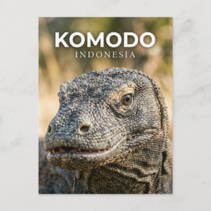 Komodo Nationaal Park Indonesië Briefkaart