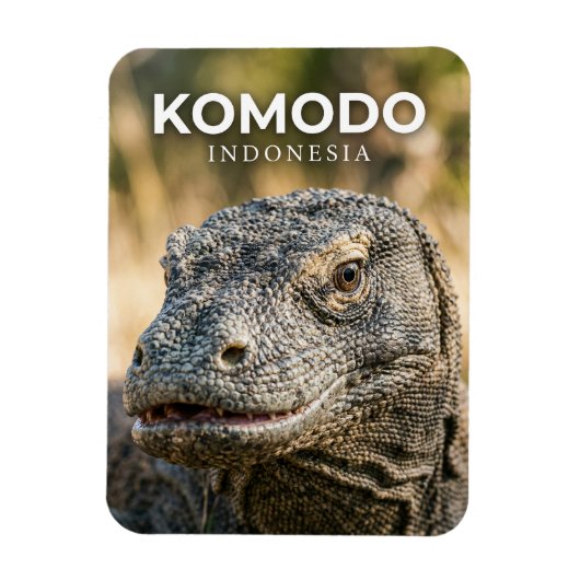 Komodo Nationaal Park Indonesië Magneet (Verticaal)