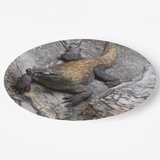Komodo Papieren Bordje (Gekanteld)