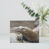 Komodo-profiel Briefkaart (Staand voorkant)