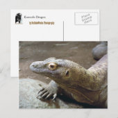 Komodo-profiel Briefkaart (Voorkant / Achterkant)