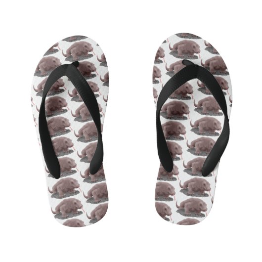 Komodo varaan illustratie kinder teenslippers (Voetbed)