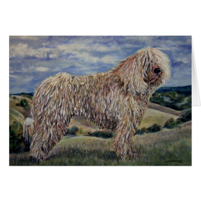 Komondor (Voorkant Horizontaal)
