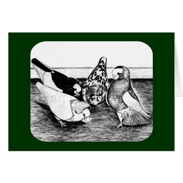 Komorner Tumbler Kwartet (Voorkant Horizontaal)