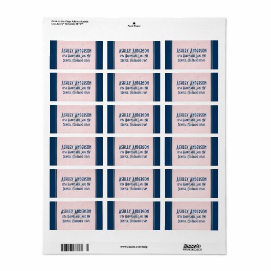  kompas marine roze grijs bruiloft adres etiket (Full Sheet)