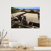 KONA COFFEE DRYT IN DE ZON - HAWAII POSTER (Keuken)