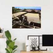 KONA COFFEE DRYT IN DE ZON - HAWAII POSTER (Thuiskantoor)