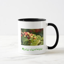 Kona-koffie Mok