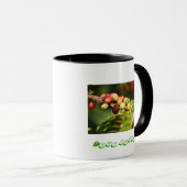 Kona-koffie Mok (Voorkant rechts)