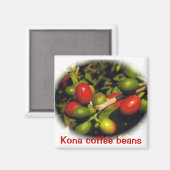 Kona koffiebonen magneet (Voorkant / Achterkant)
