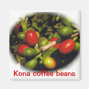 Kona koffiebonen magneet