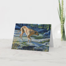 "Kona op de Granite Trail"