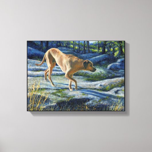 "Kona op het granietspoor" Canvas Afdruk (Voorkant)