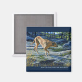 "Kona op het granietspoor" Magneet (Voorkant / Achterkant)