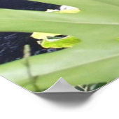 KONA WATERFALL POSTER (Hoek)