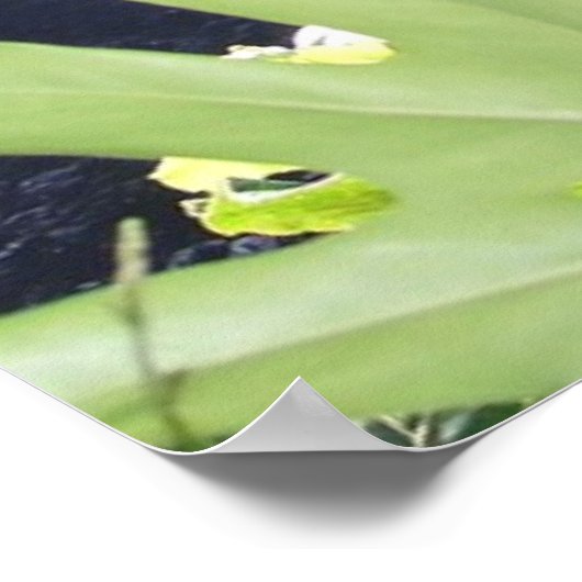 KONA WATERFALL POSTER (Hoek)