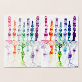 Kone cellen en cellen en bipolaire neuronen van de folie kaarten (Binnen)