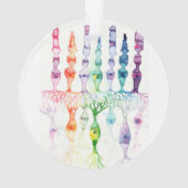 Kone cellen en cellen en bipolaire neuronen van de ornament (achterkant)