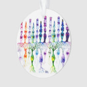 Kone cellen en cellen en bipolaire neuronen van de ornament (voorkant)