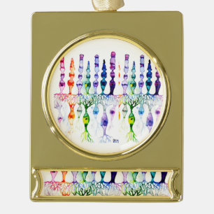 Kone cellen en cellen en bipolaire neuronen van de verguld banner ornament