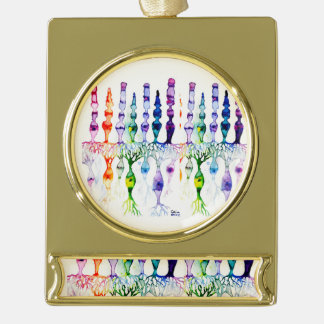 Kone cellen en cellen en bipolaire neuronen van de verguld banner ornament