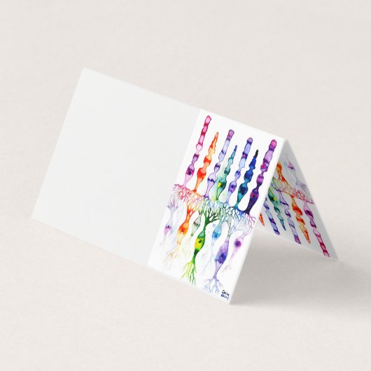 Kone cellen en cellen en bipolaire neuronen van de visitekaartje (Achterkant)