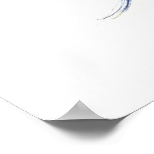 Kone cellen, roercellen en bipolaire neuronen i poster (Hoek)