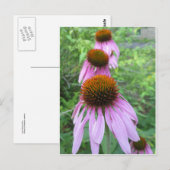 Kone Flower Trio Briefkaart (Voorkant / Achterkant)