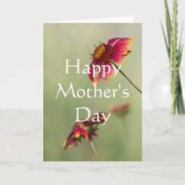 Kone Flowers begint te bloeien, Happy Moeders Da Kaart