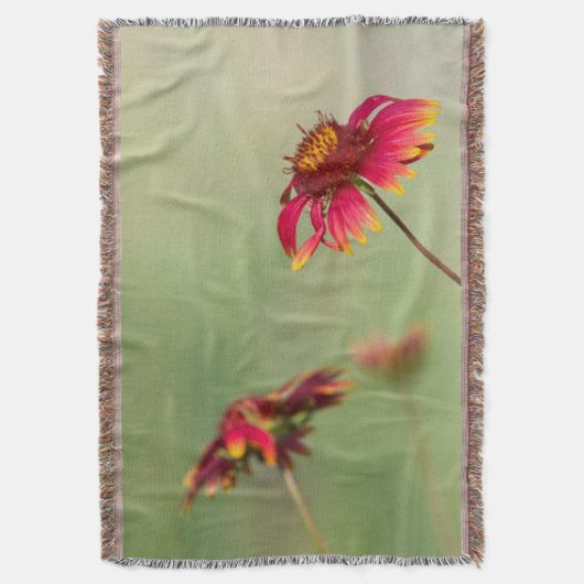 Kone Flowers die beginnen te bloeien Deken (Voorkant Verticaal)
