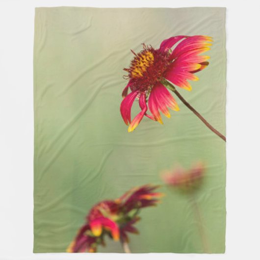 Kone Flowers die beginnen te bloeien Fleece Deken (Voorkant)
