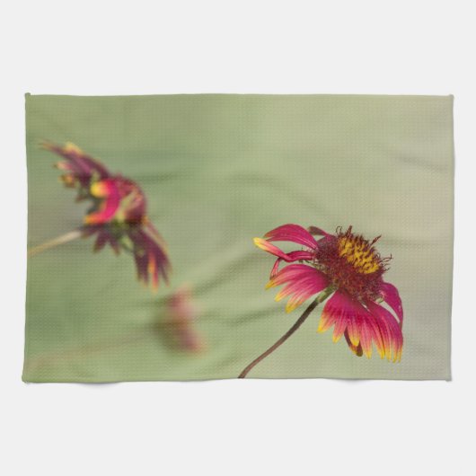 Kone Flowers die beginnen te bloeien Theedoek (Horizontaal)