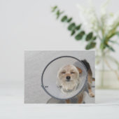 Kone Head Briefkaart (Staand voorkant)